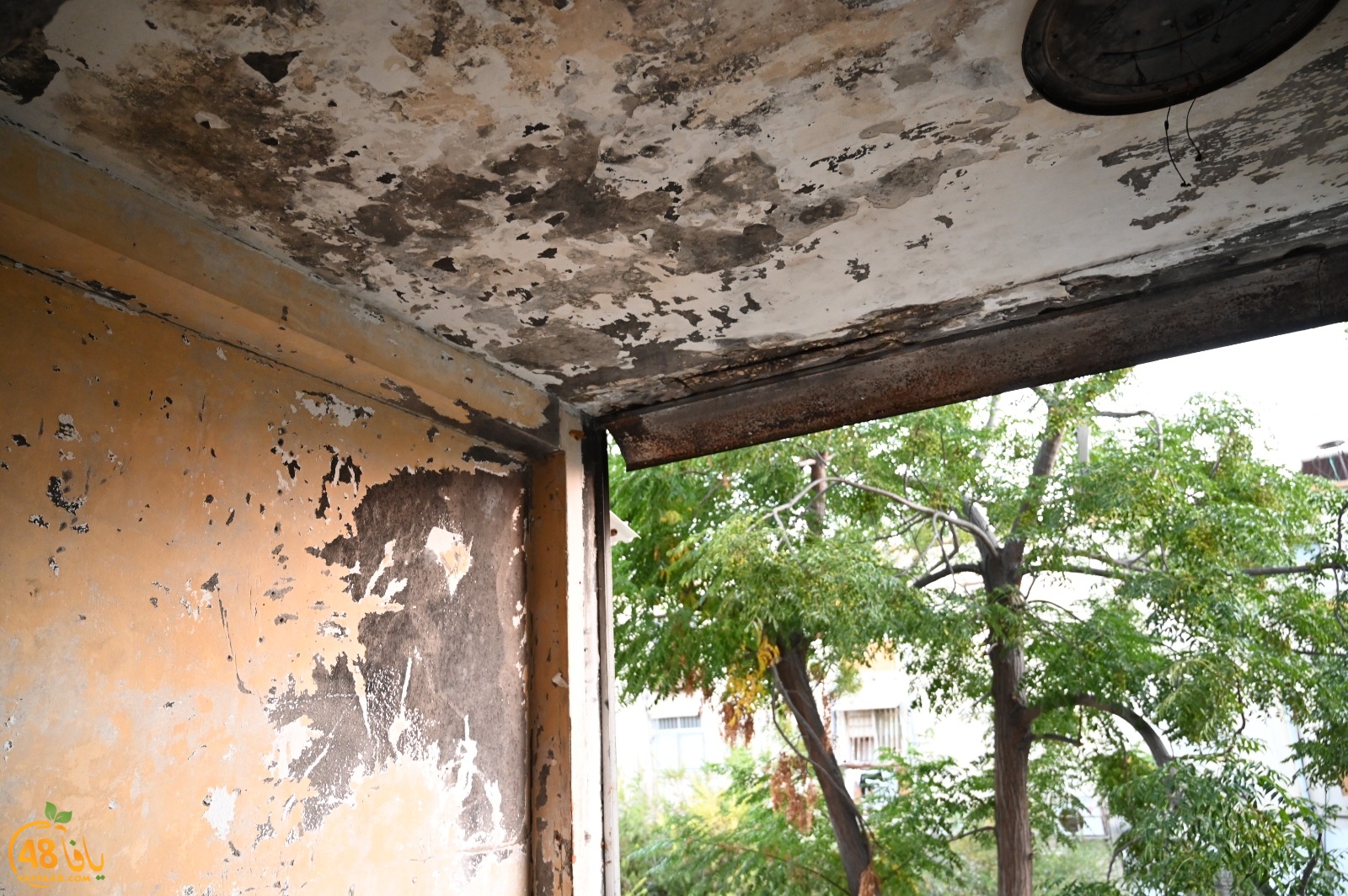 WhatsApp Image 2023-09-21 at 8.02.37 PM.jpeg